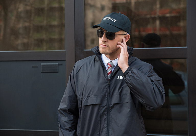 Executive Protection Services